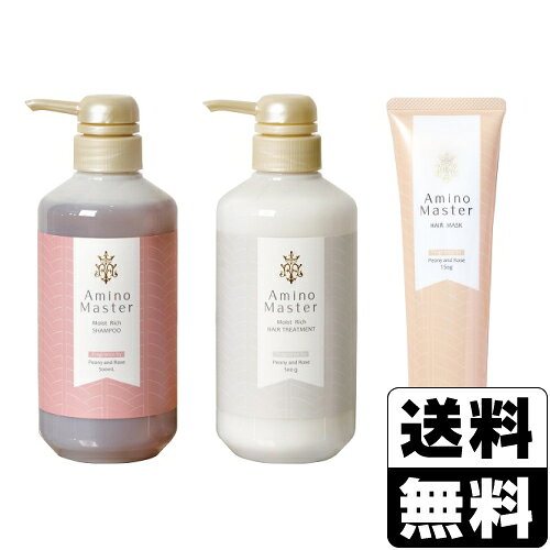 アミノマスター モイストリッチ シャンプー 500ml＋モイストリッチ ヘアトリートメント 500g＋ヘアマスクR 150g