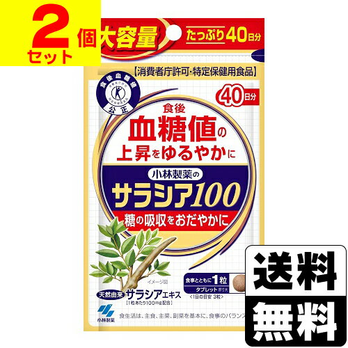 [小林製薬]小林製薬のサラシア100 120粒【2個セット】