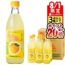 【8/1 24h限定★エントリーで2点購入P10倍・3点以上でP20倍】 ゆずジュース 鹿児島産 ゆず ゆずだもん 希釈タイプ 瓶 500ml 6本 送料無料 ...