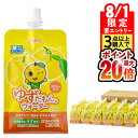 【8/1 24h限定★エントリーで2点購入P10倍・3点以上でP20倍】 ゆずジュース 鹿児島産 ゆず ゆずだもん ウォーター パウチ 300g 30本/60本...