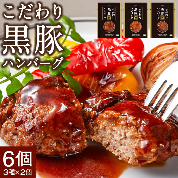 こだわり 黒豚 ハンバーグ 鹿児島産 純粋黒豚 六白黒豚 3種の味 140g 6個 送料無料 財宝 本格ハンバーグ トマト デミグラス 照り焼き 冷凍 最短5/24出荷