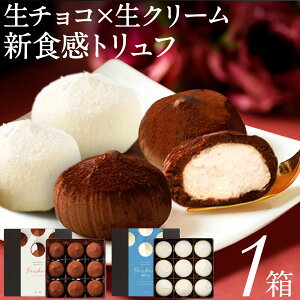 生チョコ 【P2倍】 バレンタイン チョコ ギフト チョコレート トリュフ シャンティ ショコラ 9個入 1箱 選べる 2種 送料無料 ホワイトチョコ 財宝 2024 バレンタインデー おしゃれ プレゼント 美味しい お取り寄せ 人気 スイーツ 冷凍 お菓子 誕生日 お歳暮