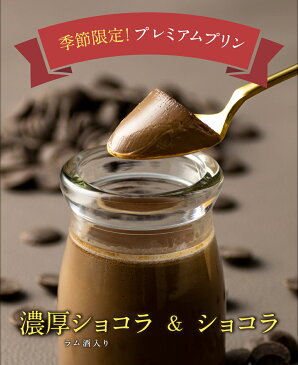 バレンタイン 財宝 プレミアム プリン ショコラセット 送料無料 選べる2種 12個入(6個入×2箱)(濃厚ショコラ/ショコラ)[期間限定 ギフト おもてなし とろふわ とろとろ ふわとろ 人気 洋菓子 スイーツ]