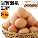 卵 生卵 財宝温泉生卵 20個 送料無料 10個入 2パック たまご 玉子 ブランド卵 濃厚 卵黄 鹿児島県産 鶏卵 タマゴ 財寶温泉 ギフト 卵セット 贈り物...
