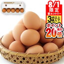 【8/1 24h限定★エントリーで2点購入P10倍・3点以上でP20倍】 卵 生卵 財宝温泉生卵 20個 送料無料 10個入 2パック たまご 玉子 ブランド卵...