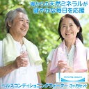 スポーツドリンク パウダー 粉末 500ml用 90袋 お得用 まとめ買い 3ヶ月セット 熱中症対策 熱中症予防 経口補水液 健康食品 ミネラル補給 水分補給 クエン酸 ダイヤリンゲル ヘルス HEALTH 送料無料(4)