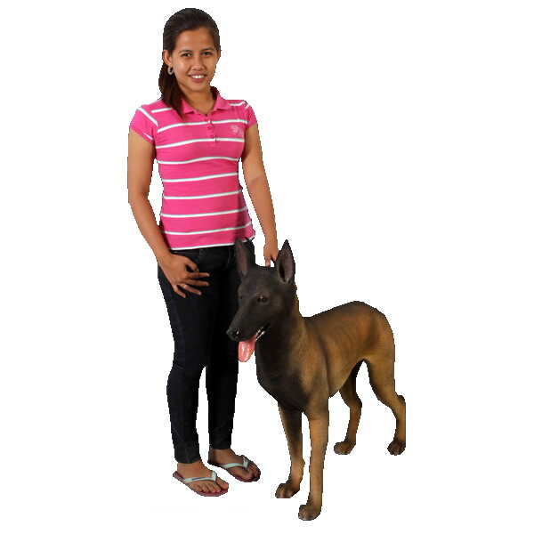 樂天商城 - ベルギー犬 / Belgian MalinoisFRP 耐水 軽い 強い 屋外用塗装 ガーデンファニチャー 置物 インテリア オブジェ 送料無料