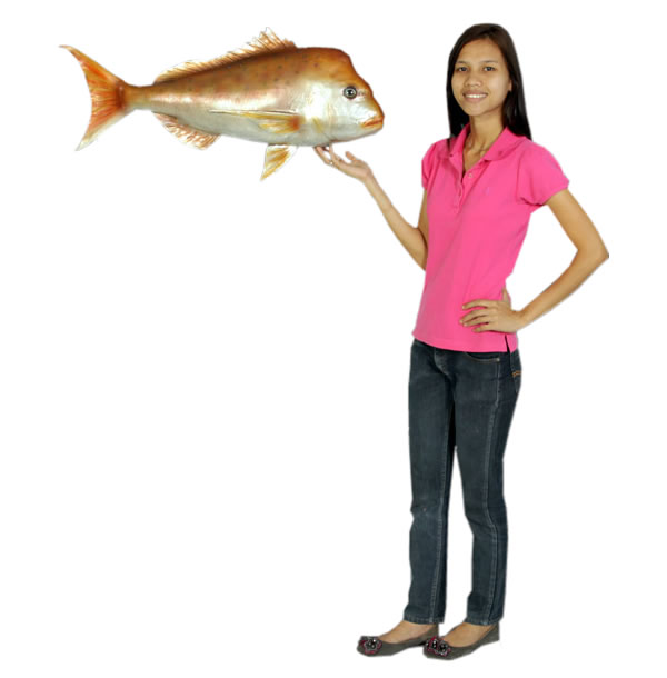 樂天商城 - フエダイ / SnapperFRP 耐水 軽い 強い 屋外用塗装 ガーデンファニチャー 置物 インテリア オブジェ 送料無料