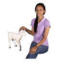 ヤギの赤ん坊 / Goat Kid StandingFRP 耐水 軽い 強い 屋外用塗装 ガーデンファニチャー 置物 インテリア オブジェ 送料無料