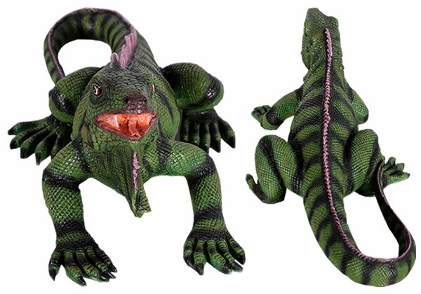 �������� / Iguana 24