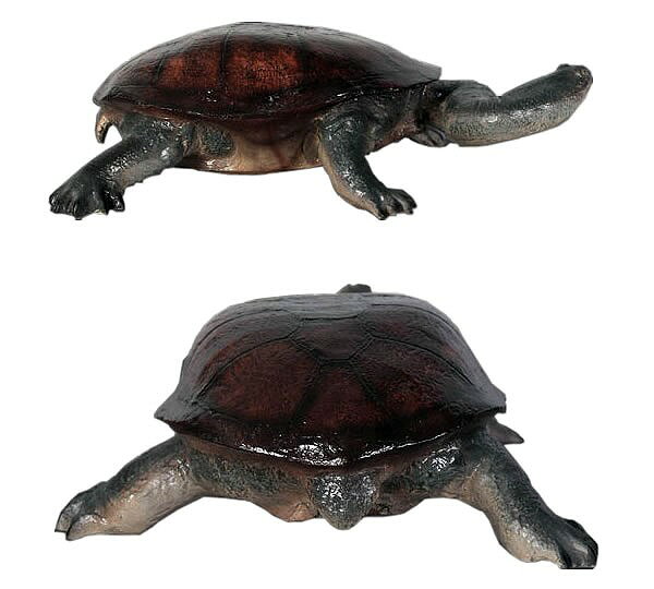 ディアサーナ雑貨インテリアライフの首の長い亀 / Long-neck TurtleFRP 耐水 軽い 強い 屋外用塗装 ガーデンファニチャー 店舗 イベント 置物 インテリア オブジェ 送料無料｜アングル2