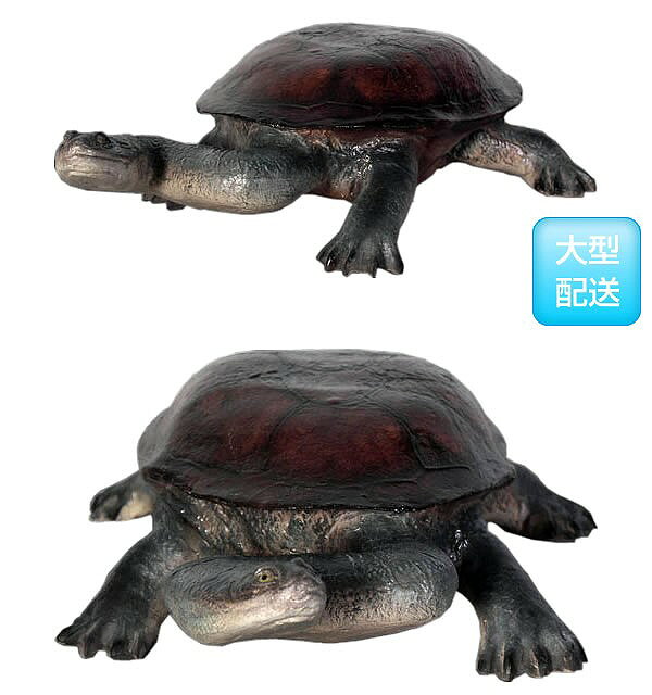 ディアサーナ雑貨インテリアライフの首の長い亀 / Long-neck TurtleFRP 耐水 軽い 強い 屋外用塗装 ガーデンファニチャー 店舗 イベント 置物 インテリア オブジェ 送料無料｜アングル3