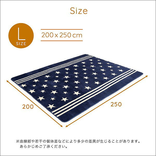 マイクロファイバー・デザインラグマットLサイズ(200×250cm)洗えるラグマット [2]