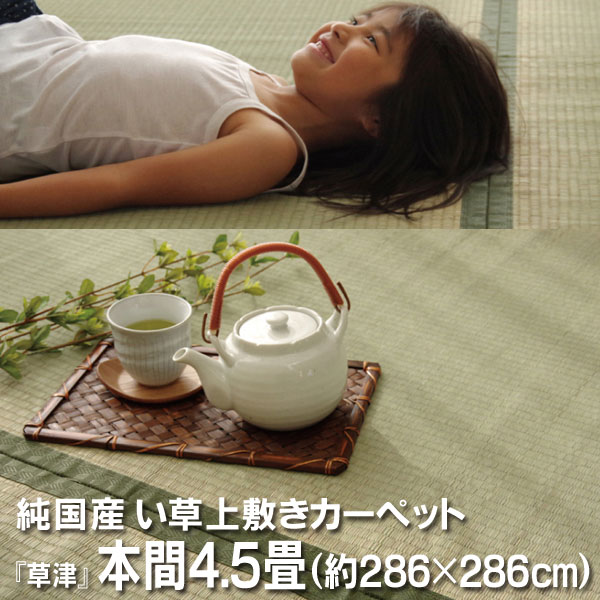 樂天商城 - 純国産 い草 上敷き カーペット 双目織 『草津』 本間4.5畳(約286×286cm）