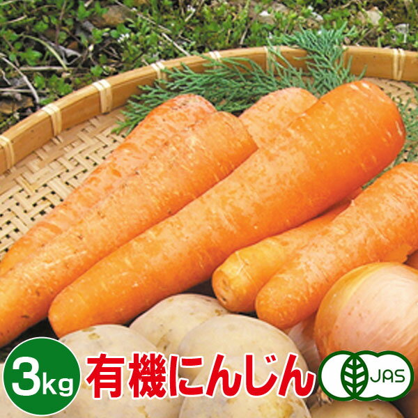 有機にんじん 3kg 有機人参 有機ニンジン 有機栽培 野菜 有機野菜 オーガニック 送料無料のサムネイル