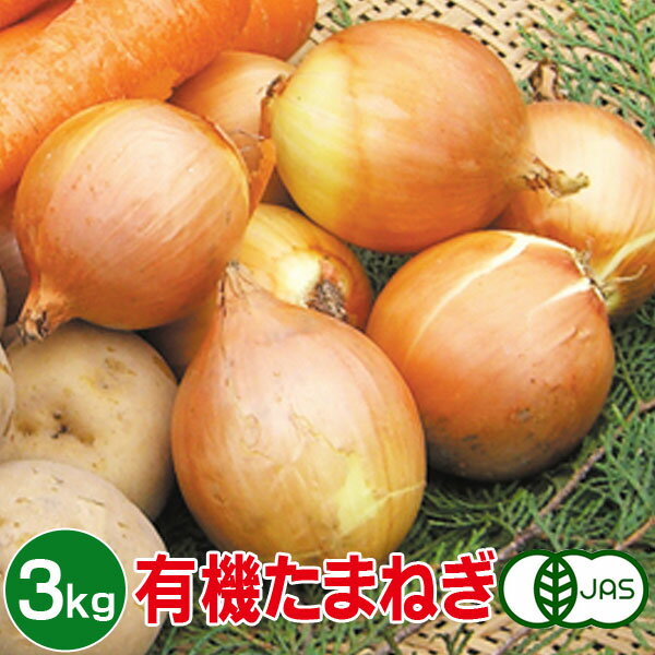 有機たまねぎ 3kg 有機玉ねぎ 有機玉葱 有機タマネギ 有機栽培 野菜 有機野菜 オーガニック 送料無料のサムネイル