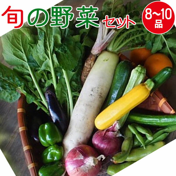 産地直送 旬の野菜セット 8～10品目 有機質肥料 野菜 詰め合わせ 奈良 和歌山 三重 送料無料