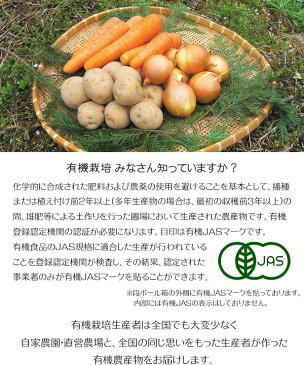 有機たまねぎ 5kg 有機玉ねぎ 有機玉葱 有機タマネギ 有機栽培 野菜 有機野菜 オーガニック 送料無料