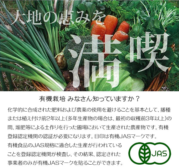 産地直送 有機野菜セット（9〜12品目）有機栽培 野菜 詰め合わせ 有機野菜 セット オーガニック 奈良 送料無料