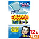 冷却シート大人用12枚組 国産 発熱