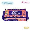 大和工場 クレシア アクティ 大きなおしりふきタオル 25cm×20cm 60枚入 弱酸性 敏感肌 ノンアルコール 無香料 大きいから手に巻いて使える!! ・お肌に優しい天然コットン100％です。・大きめサイズで、厚さも拭きやすい厚手になっています。・上下オープン式のフタですので、片手で開閉でき、取り出しやすくなっています。・素肌と同じ弱酸性なので、肌トラブルを軽減できます。・デリケートなお肌にもお使いいただけます。・ノンアルコール・無香料です。・アロエエキス配合なので、お肌にやさしいです。 5