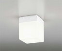 オーデリック LED浴室灯 白熱灯60W相当 OW009421LR メーカー直送最短発送 期間限定SALE