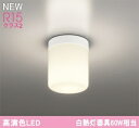 オーデリック LED浴室灯 白熱灯60W相当 OW269051LR メーカー直送最短発送 期間限定SALE