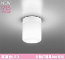 オーデリック LED浴室灯 白熱灯60W相当 OW269051NR メーカー直送最短発送 期間限定SALE