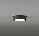 オーデリック LEDエクステリア 人感センサーON-OFF型 白熱灯100W相当 薄型軒下灯 OG254523R メーカー直送最短発送 期間限定SALE