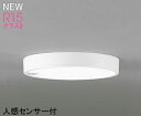 オーデリック LED小型シーリングライト FCL30W相当 人感センサーON・OFF型 昼白色 OL251734R 期間限定SALE・メーカー直送
