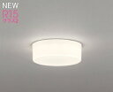 オーデリック LED小型シーリングライト 白熱灯器具100W相当 電球色 OL291673LR 期間限定SALE・メーカー直送