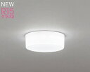 オーデリック LED小型シーリングライト 白熱灯器具100W相当 温白色 OL291673WR 期間限定SALE・メーカー直送
