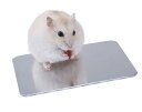 JFOLKS ペット の 暑さ対策 に最適 ひんやりプレート ハムスター ・ 小動物用 『 電気不要 で エコ 』 アルミ製 クールマット 夏用 冷却マット 熱...