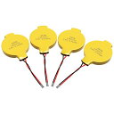 EEMB LIR2032 充電式バッテリー 3.6V リチウムイオンコインボタン電池 リード線付き 45mAh 車のリモートキーフォブウォッチ用(4セット)