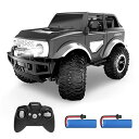DEERC ラジコンカー こども向け オフロード RCカー 操作時間160分 バッテリー2個 デモモード LEDライト付き 子供 2.4GHz リモコンカー 防振 安定性 おもちゃ 誕生日 入園 こどもの日 プレゼント 子