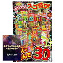 花火 手持ち花火 2人で遊んで30分 種類豊富で人気花火を寄せ集めた豪華セット 花火ソムリエ石井 遊び方ガイドブック付