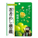 UHA味覚糖 忍者めし 鉄の鎧 マスカット味 40g×10個