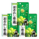 3袋セット UHA味覚糖 忍者めし 鉄の鎧 マスカット味 40g ハード食感 グミ ぐみ