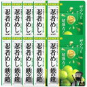 10袋セット UHA味覚糖 忍者めし 鉄の鎧 マスカット味 40g ハード食感 グミ ぐみ