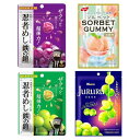 【SNS話題人気グミ・キャンディ 4点セット】UHA味覚糖 忍者めし 鉄の鎧 グレープ味・マスカット味 各1+Kanro じゅるる シャインマスカット味1+ノーベル製菓 ソルベットグミ白桃味1|食べく