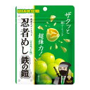 2月発売 予約 ≪ 忍者めし 鉄の鎧 マスカット味 ≫ UHA 味覚糖 マスカット 1袋 グミ 固い (1袋)