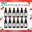 レジン 着色剤 12色セット 作家のためのレジン uvレジン液 レジンでできた着色剤 カラーレジン ピンク グリーン オーシャン クリームソーダ ブラウン ホワ...