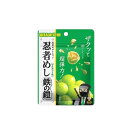 1袋セット 忍者めし 鉄の鎧 マスカット味 40g ハード食感 グミ ぐみ