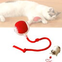 猫用ボールおもちゃ 自動 猫玩具 電動 ボール 1個入り USB 充電付き自動 360度回転ローリングボール 運動不足とストレス解消 ロングテールティーザー付きで全床対応