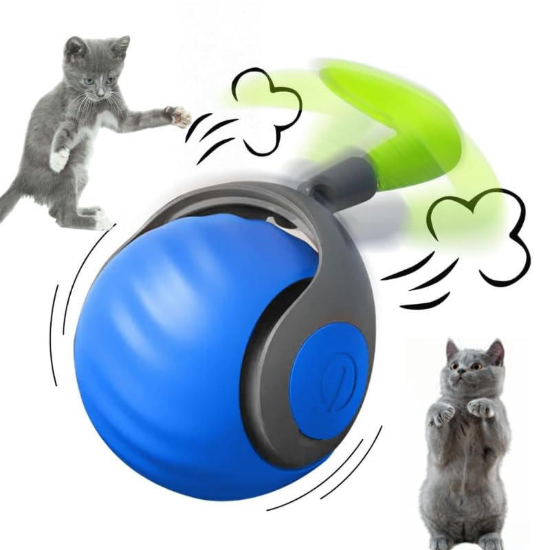 ڲɷ ǭ㼫ư ǭ ܡ cat toys 3⡼ ưž ͵ ͤ ư ͷ α ȥ쥹 ư­...
