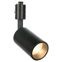 共同照明 ダクトレール用スポットライト LED一体型照明 60W形相当 850lm 電球色 GT-GD-10WW-B ブラック スポットライト 照明器具 ライティングレール用スポットライト おしゃれ COB 10W 一体式 間接
