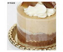 シモジマ (ヘイコー) 食品用シート ケーキフィル OPP 0.025mm厚 幅60mmx長さ300mm 500枚 006777054