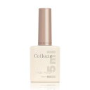 Coikaze ダイヤモンドトップジェル 最上級のツヤ 色長持ち ノンワイプ トップコート ジェルネイル トップジェル 輝く透明度 ノンワイプトップジェル 大容量15ml 拭き取り不要 ジェルネイル 単