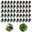 洋蘭 植物用クリップ 50個入り 植物支柱クリップ 園芸クリップ 2色 接ぎ木クリップ 支柱誘引クリップ 耐久性 栽培 再利用可能 ガーデンガーデンツール 園芸...