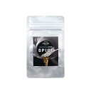 スパイスアップ(4g)エンジンオイル添加剤|燃費振動レスポンス対策|EAST_AID|SPICE_UP